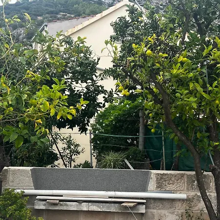 Oasis Apartment