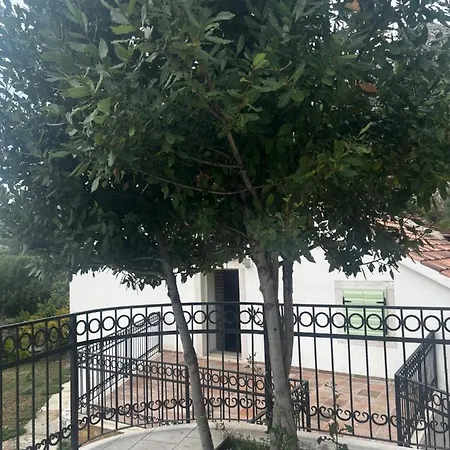 Oasis Viganj